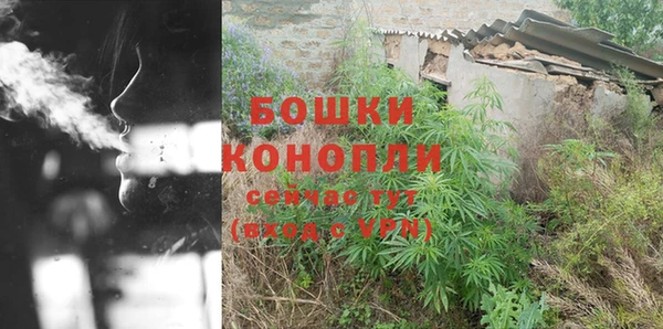 индика Магас