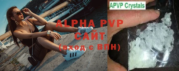 индика Магас