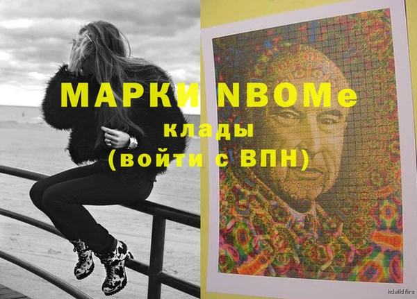индика Магас