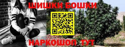 гидра Моздок